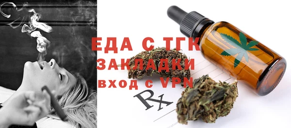 хмурый Магас