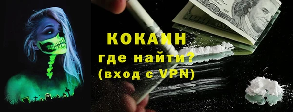 хмурый Магас