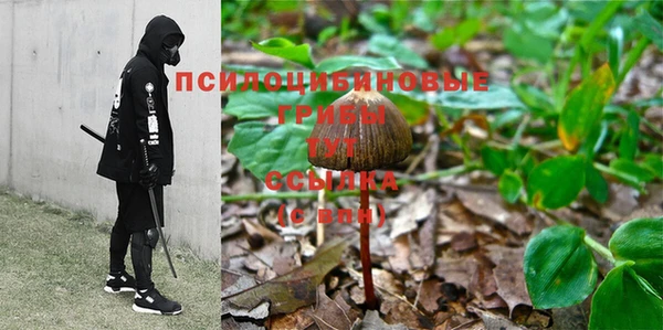 хмурый Магас