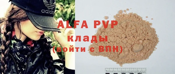 хмурый Магас