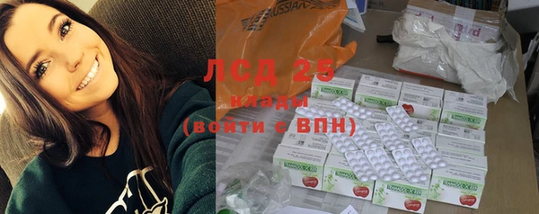 хмурый Магас