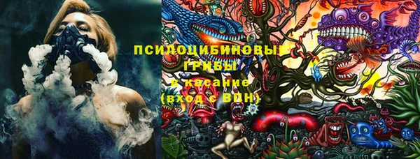 хмурый Магас