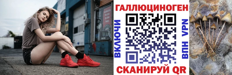 Галлюциногенные грибы Psilocybe  kraken   Красногорск 